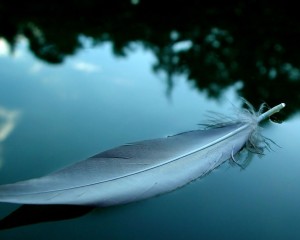 feather